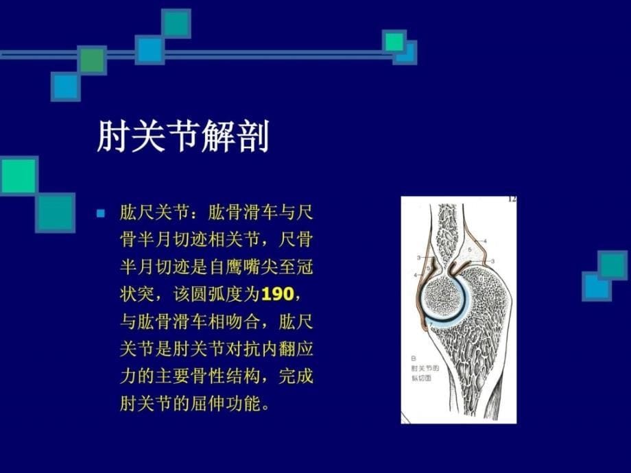 肘关节毁伤的康复治疗.ppt_第5页