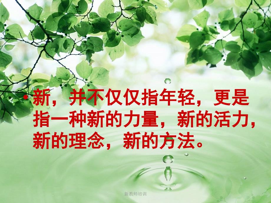 新教师培训课件_第4页