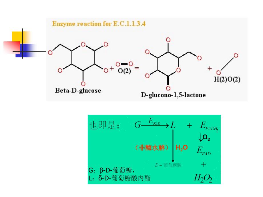 食品酶学葡萄糖氧化酶_第3页