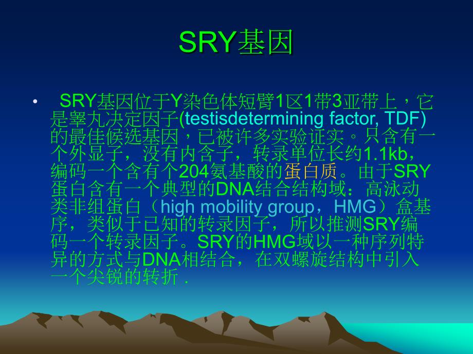 SRY基因和其在临床诊断中的应用_第2页