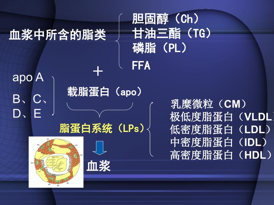 中国医科大学药理学抗高脂血症药_第4页