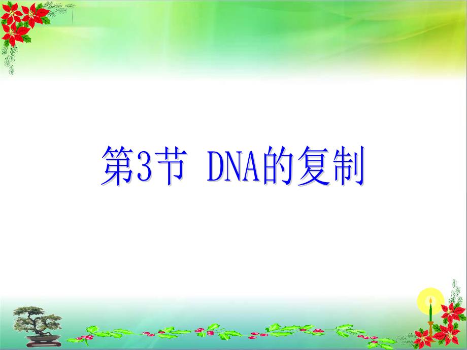 DNA的复制动画_第1页