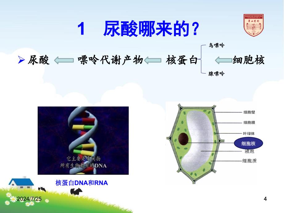 痛风患者饮食管理_第4页