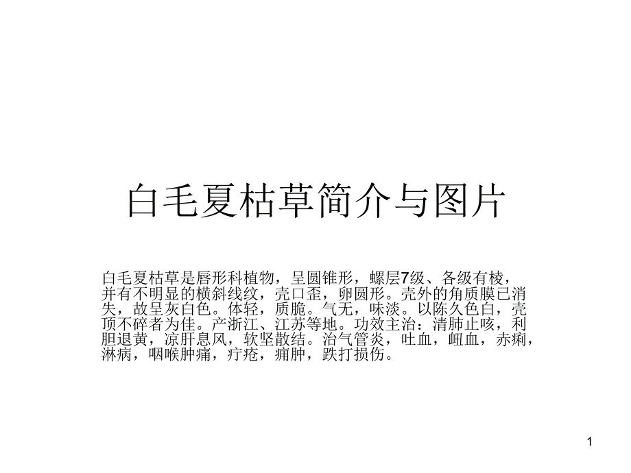 白毛夏枯草简介与图片_第1页