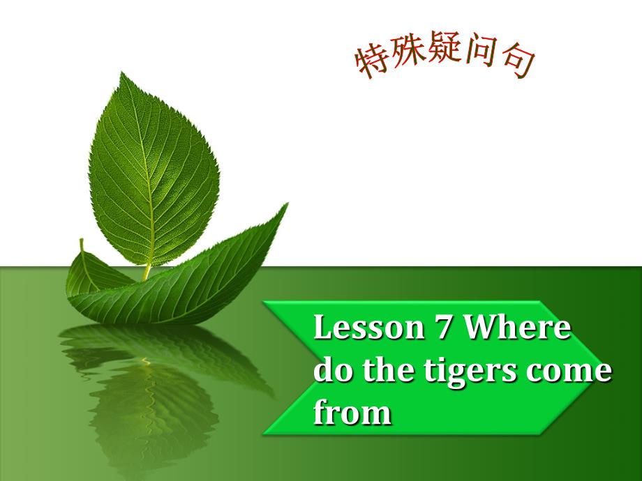 Lesson-7-Where-do-the-tigers-come-from--特殊疑问句-优质公开课-科普社三起6下课件_第1页