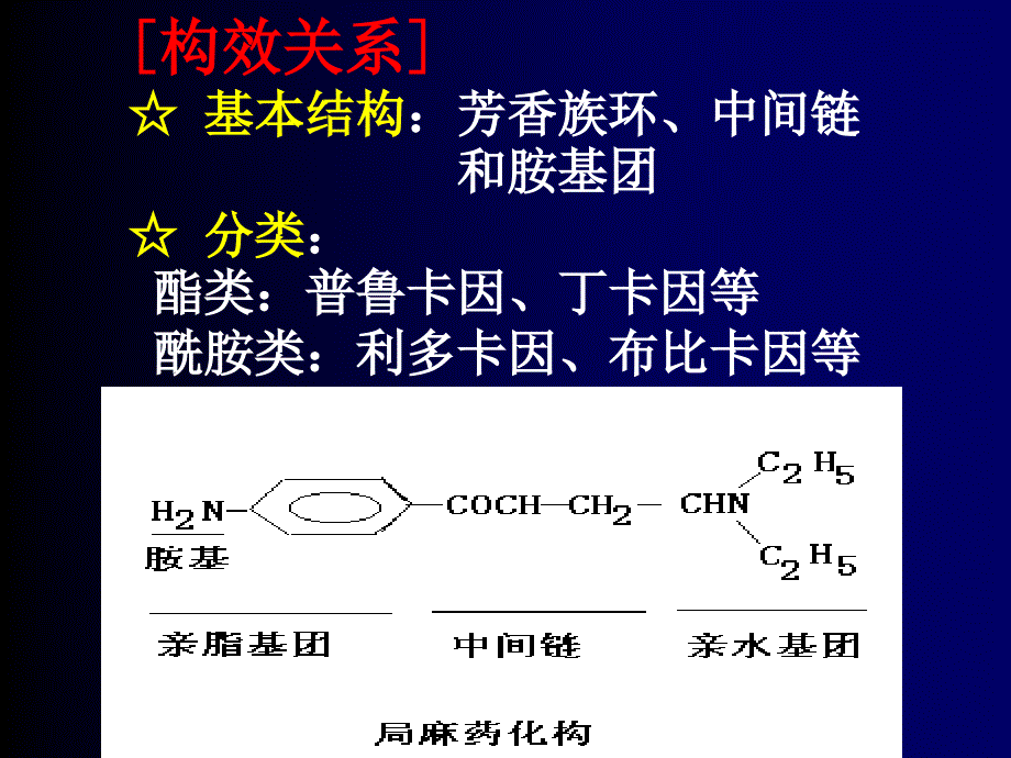 第10章局麻药_第2页