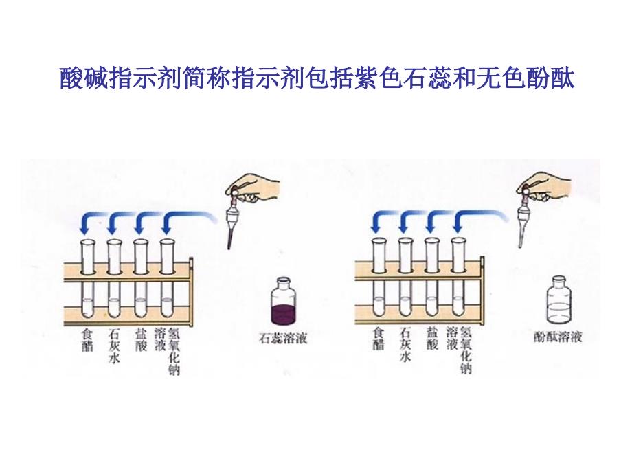 《常见的酸和碱》PPT课件.ppt说课材料_第3页