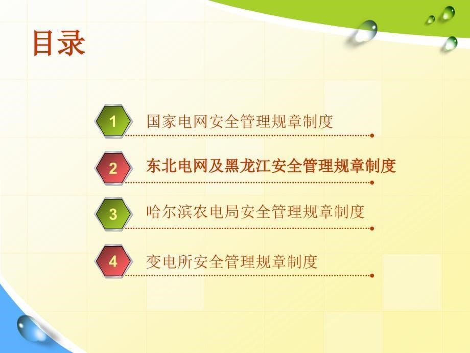 变电所安全知识要点.ppt_第5页