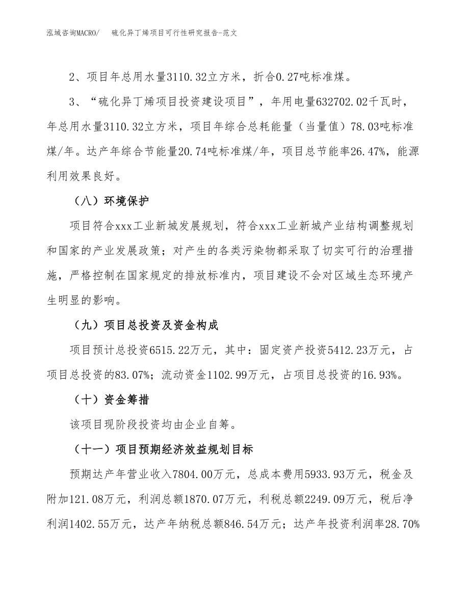 硫化异丁烯项目可行性研究报告-范文.docx_第5页