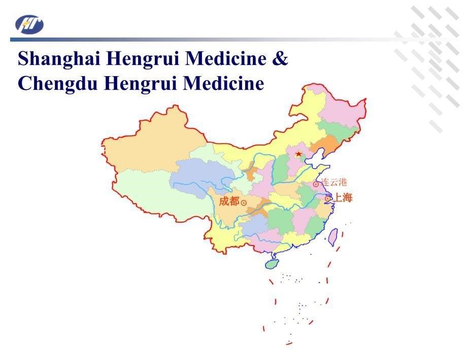 江苏恒瑞医药股份有限公司介绍PPT()_第5页