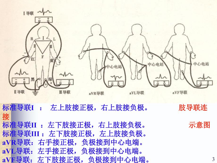 心电图教案一_第3页