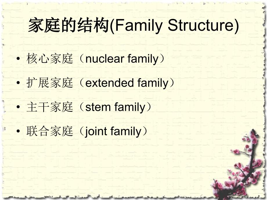 个案工作结构家庭治疗模式_第4页