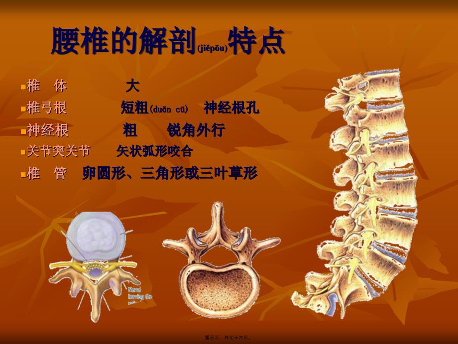 医学专题—腰腿痛的诊治31616_第3页