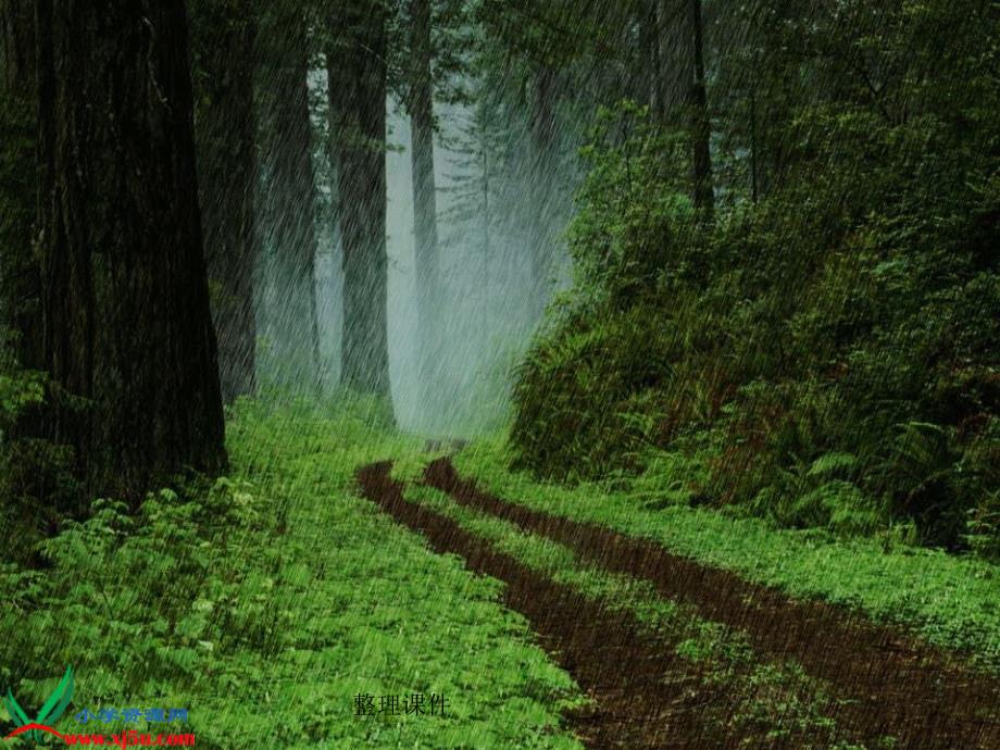 人美版一年级美术下册下雨了_第3页