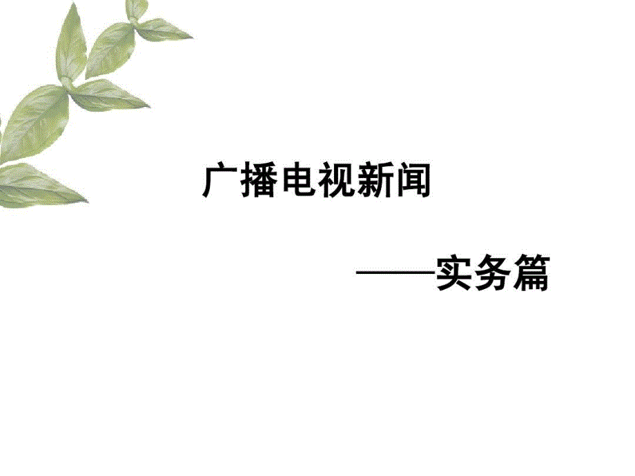 广播电视新闻实务课件_第2页