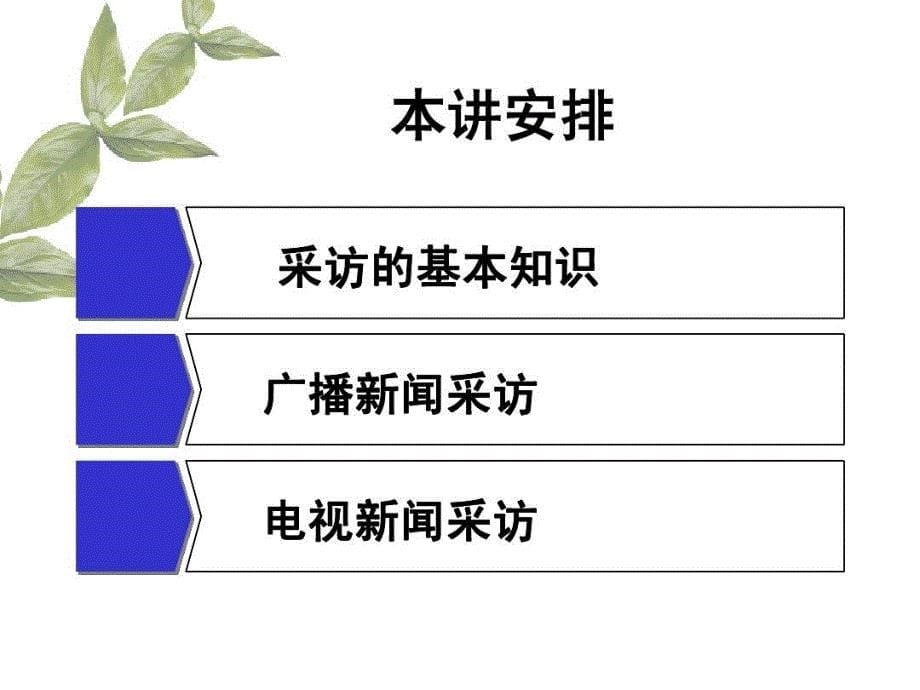 广播电视新闻实务课件_第5页