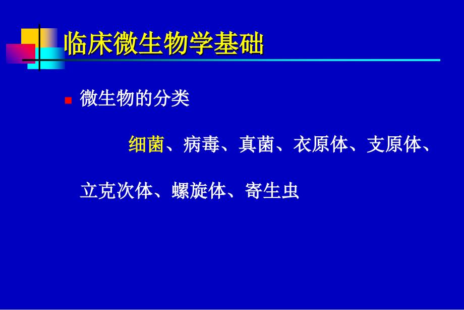 微生物与抗生素PPT文档_第4页