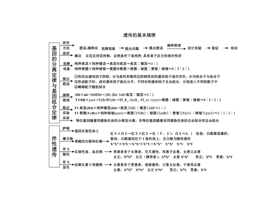 生物必修思维导图_第4页