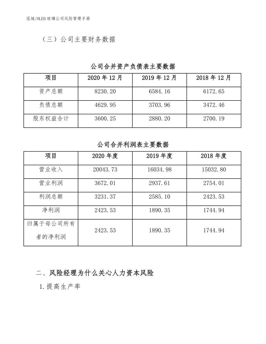 OLED玻璃公司风险管理手册_第5页