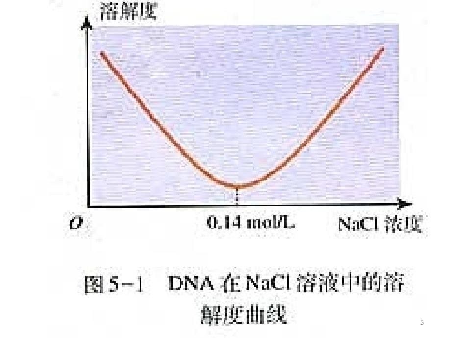 DNA的粗提取和鉴定课堂PPT_第5页