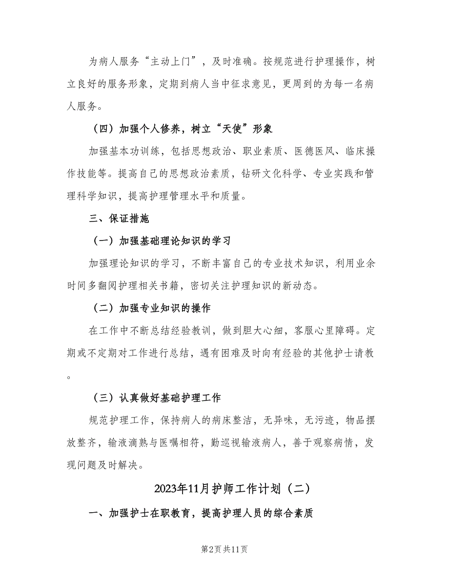 2023年11月护师工作计划（三篇）.doc_第2页