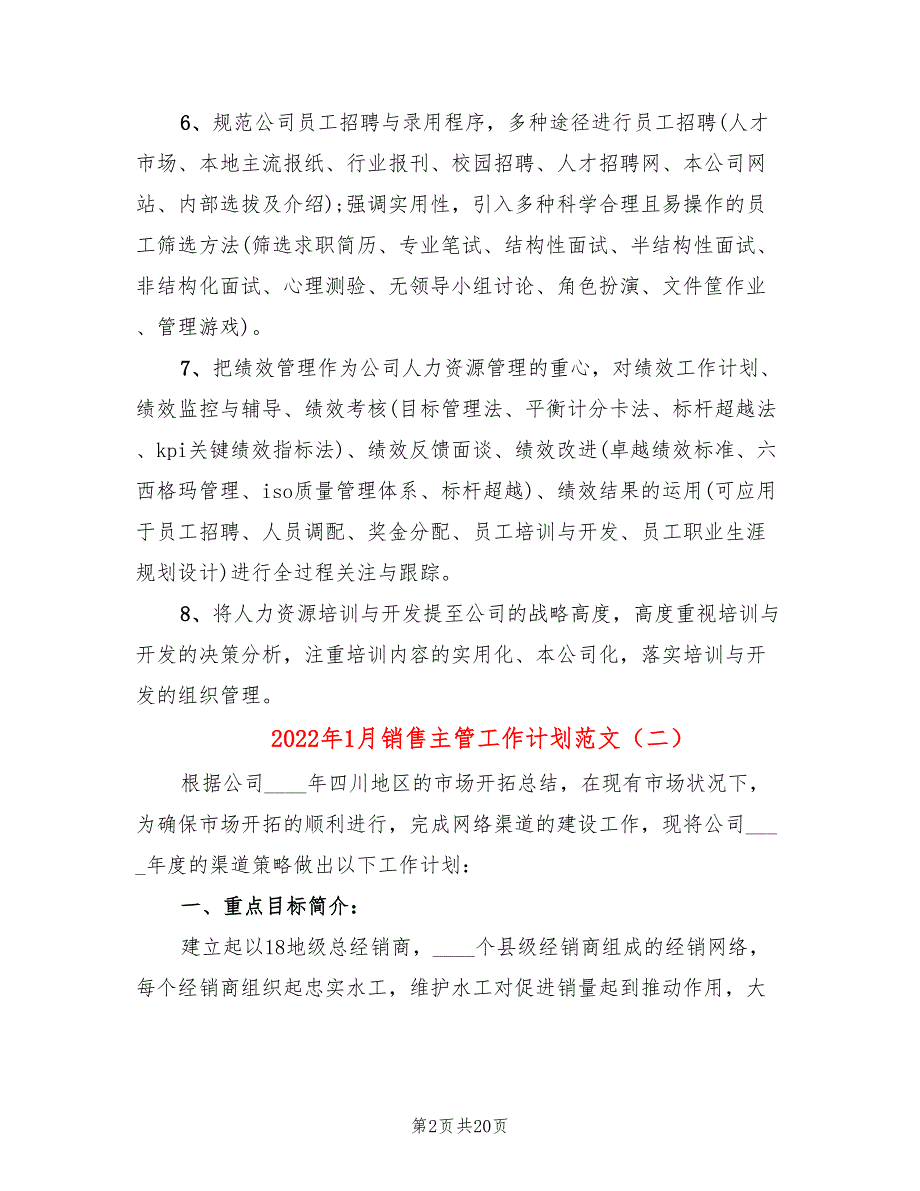 2022年1月销售主管工作计划范文(4篇)_第2页