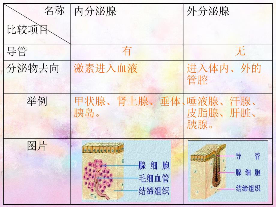 七年级下册生物《激素调节》_第4页