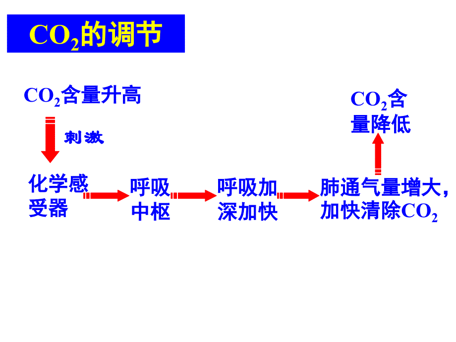 2.3神经调节与体液调节的关系课件魏红_第4页