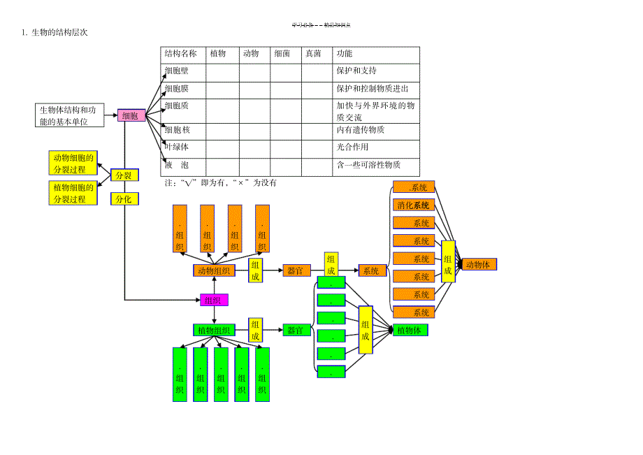 2023年初中科学《生物部分》知识点总结归纳梳理——思维导图_第1页