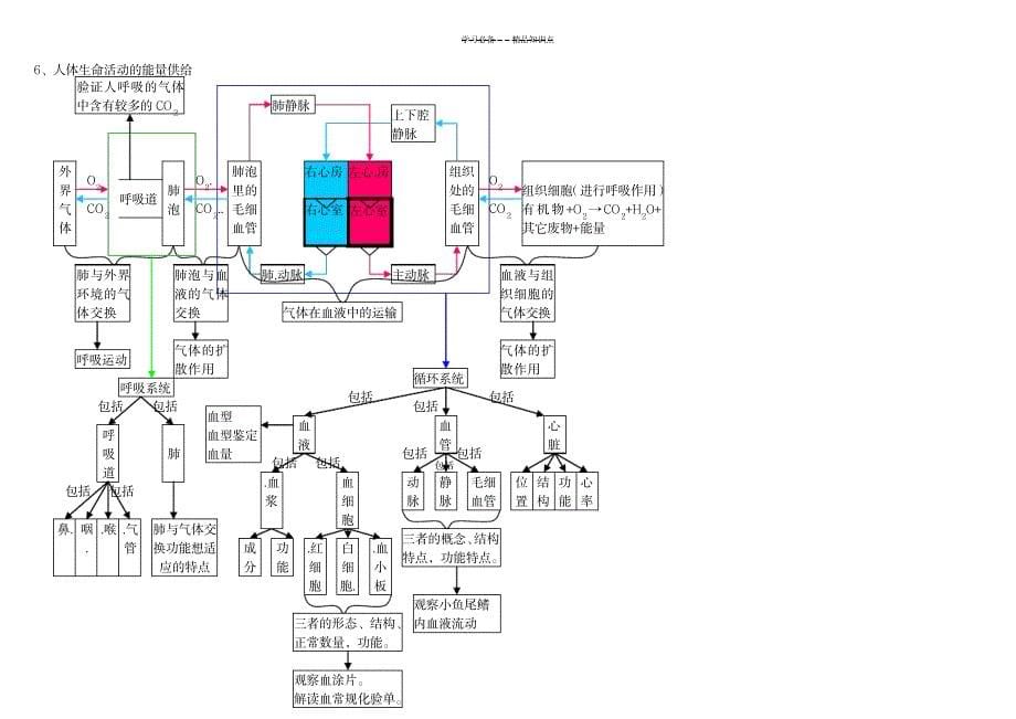 2023年初中科学《生物部分》知识点总结归纳梳理——思维导图_第5页