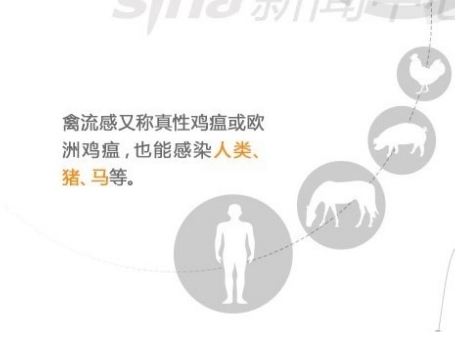 人感染H7N9禽流感诊治流程_第3页