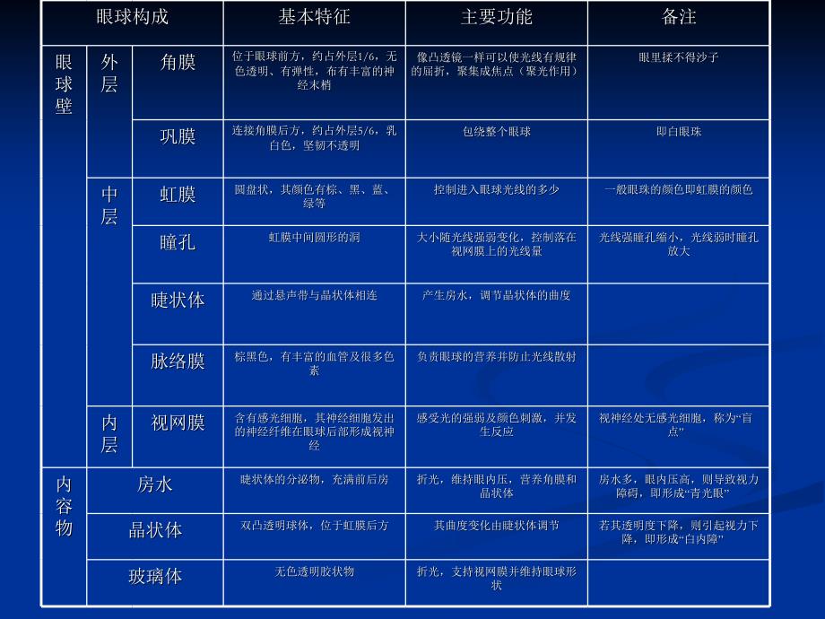 《眼睛视觉器官》PPT课件.ppt_第3页