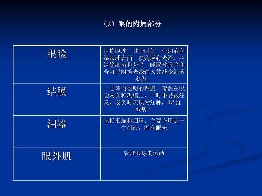 《眼睛视觉器官》PPT课件.ppt_第4页