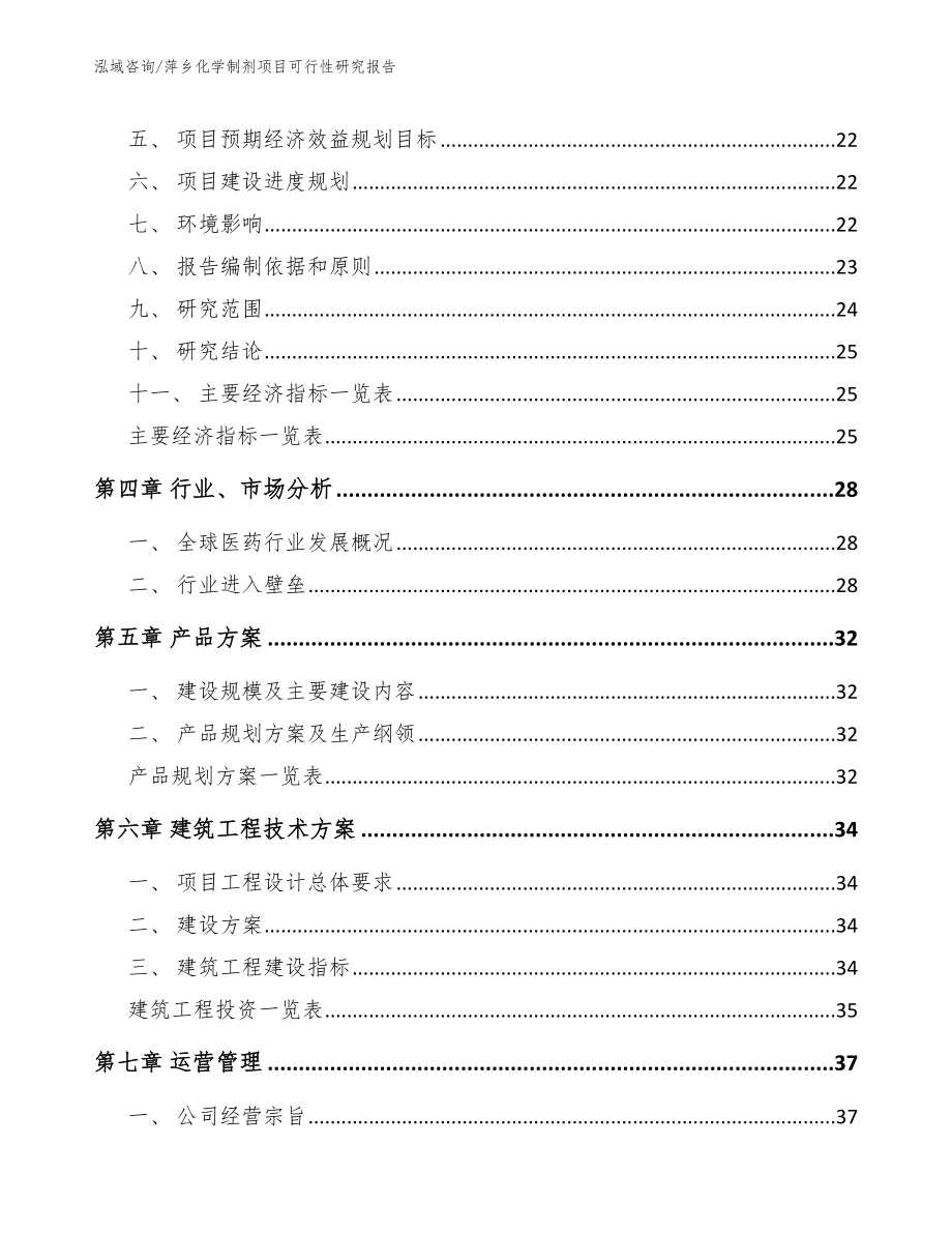 萍乡化学制剂项目可行性研究报告_参考模板_第2页