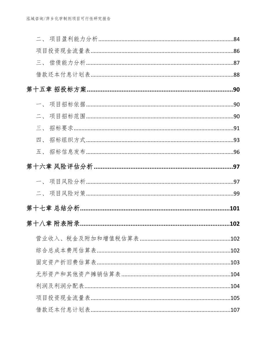 萍乡化学制剂项目可行性研究报告_参考模板_第5页