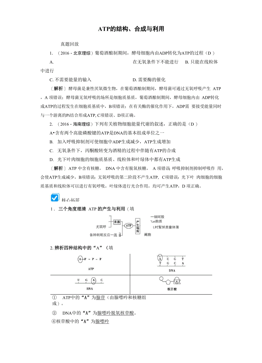 ATP的结构、合成与利用_第1页