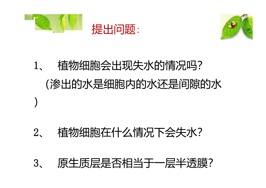 观察植物细胞质壁分离与复原实验_第4页