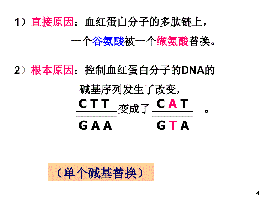 八年级生物生物的变异2_第4页