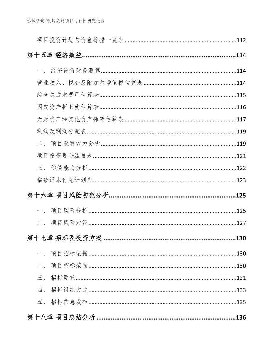 铁岭氢能项目可行性研究报告模板范本_第5页