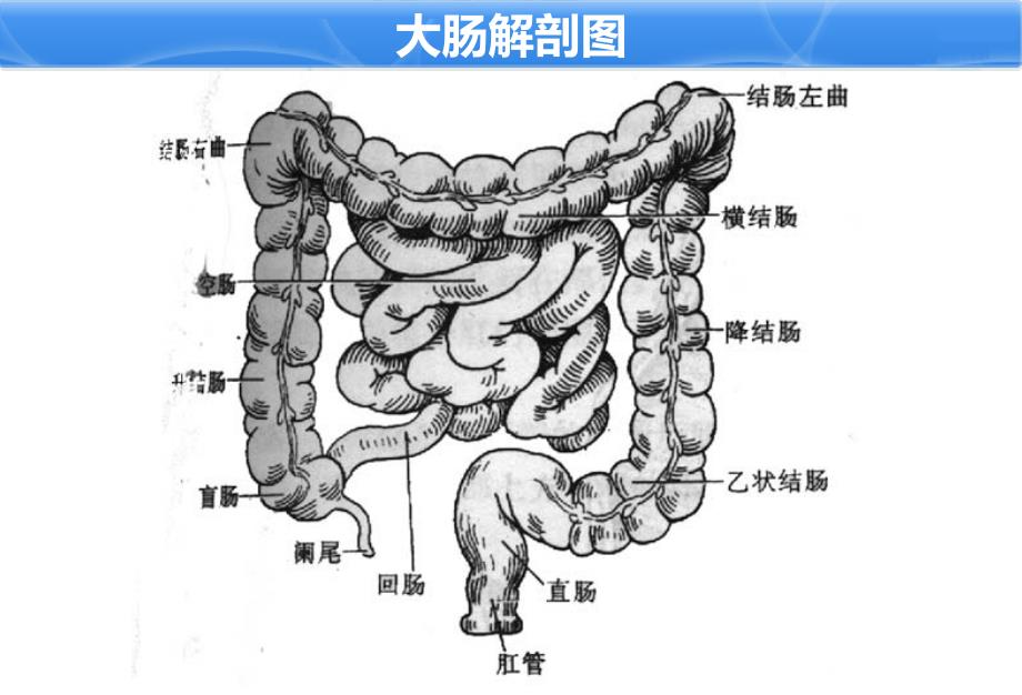 小儿保留灌肠技术_第4页