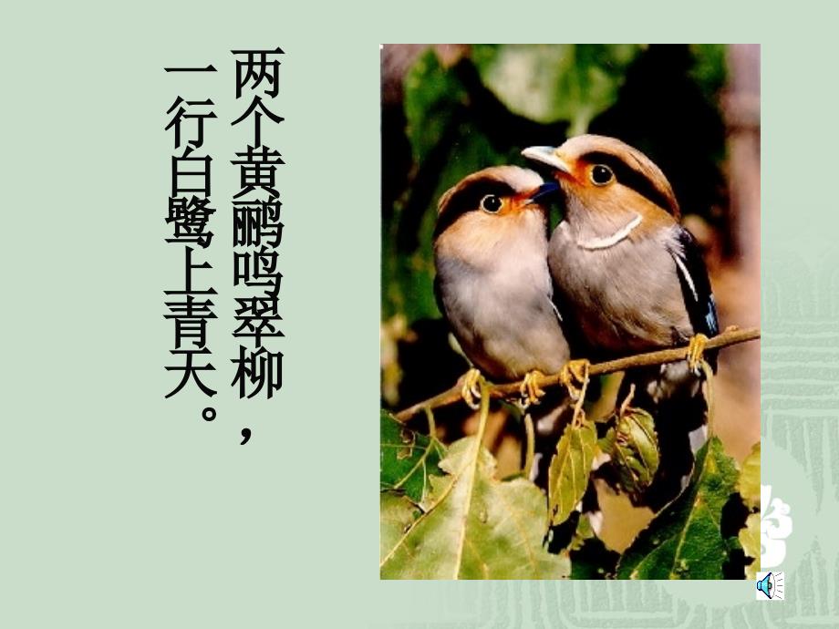 动物在自然界中的作用.ppt_第2页