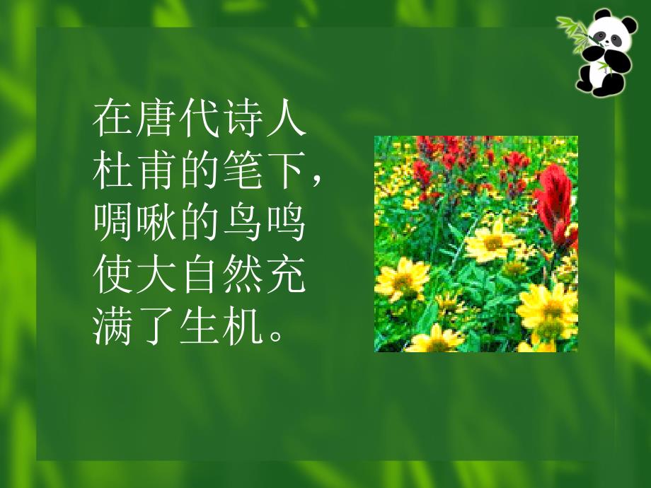 动物在自然界中的作用.ppt_第3页