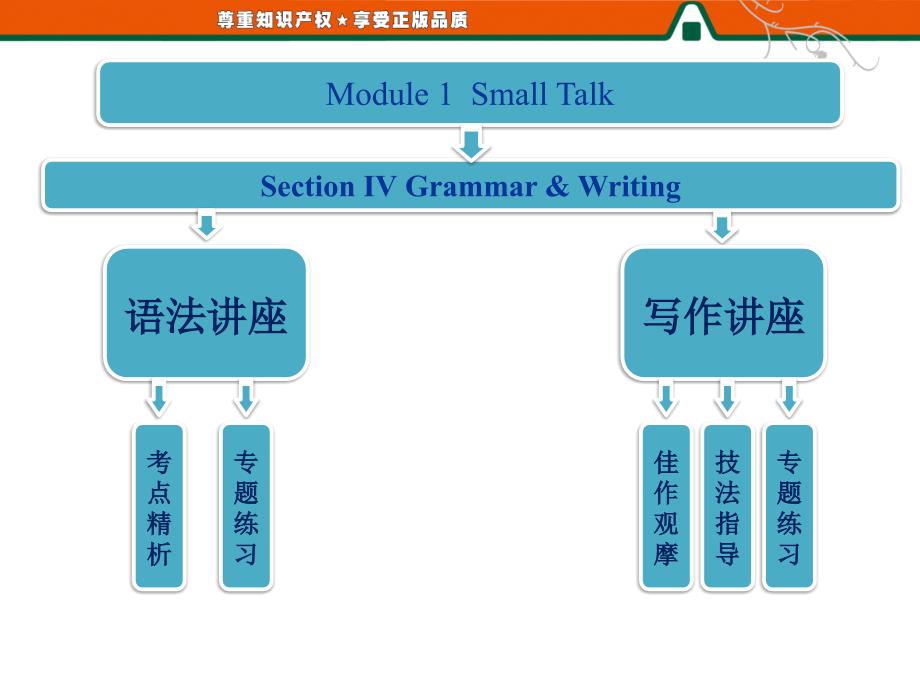 Module1SectionGrammarWriting_第1页