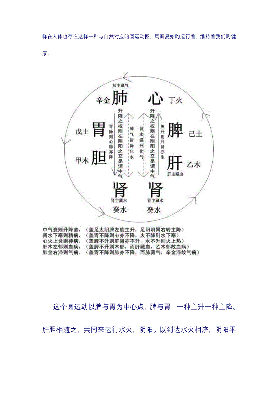 人体脏腑的气血运行图_第2页