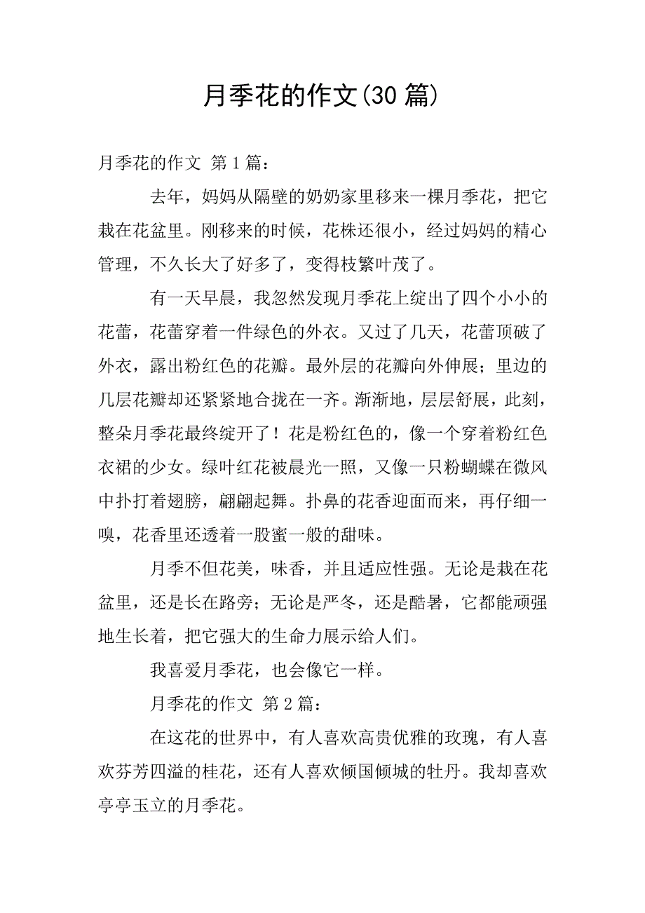 月季花的作文(30篇).doc_第1页