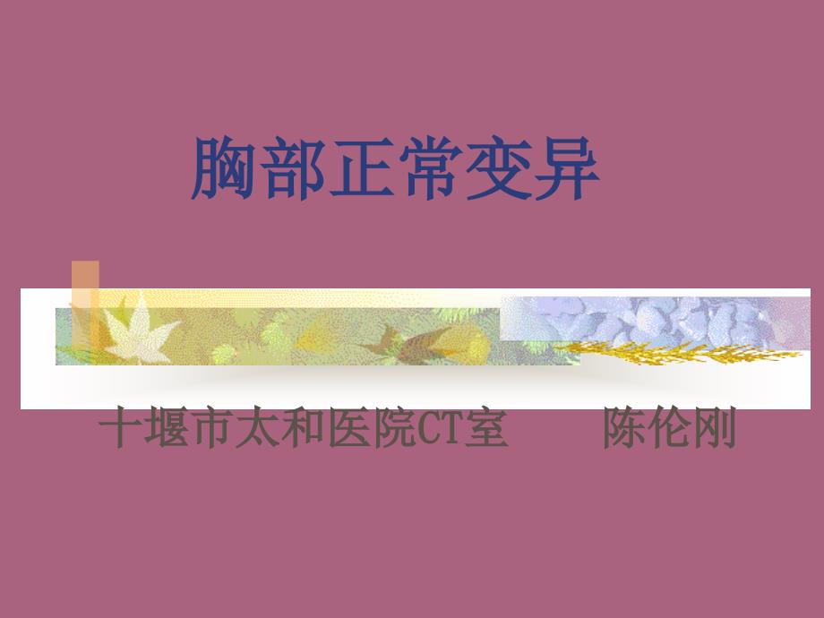 胸部正常变异PPT课件_第1页