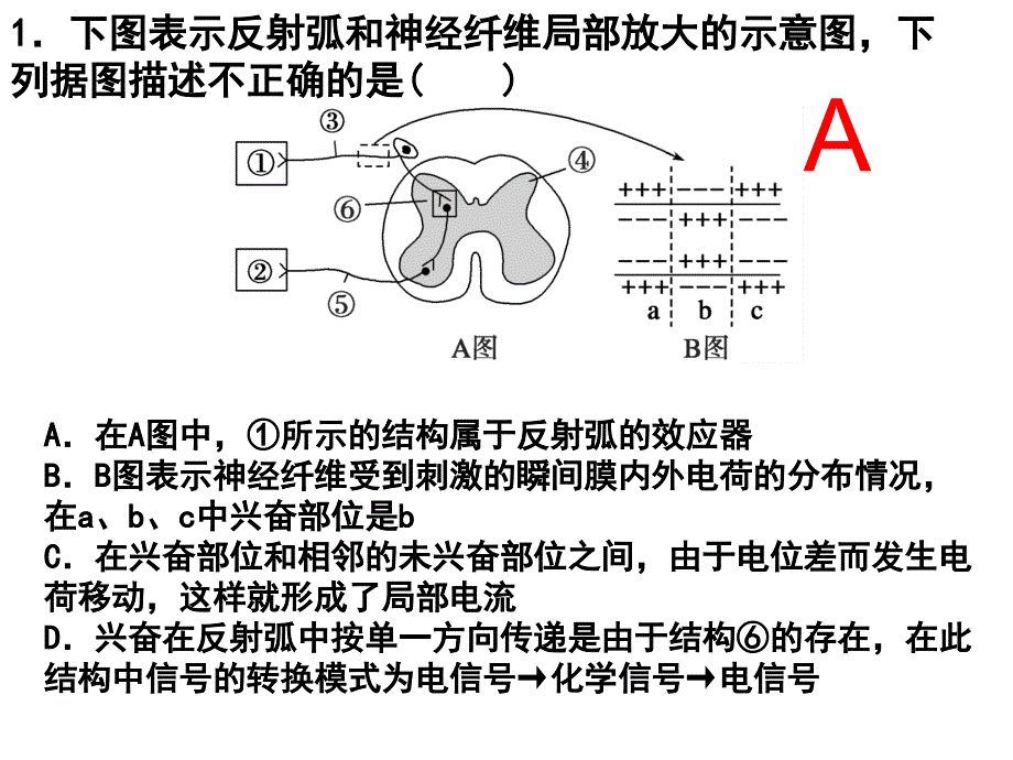 专题五神经调节和体液调节高三二轮复习_第3页