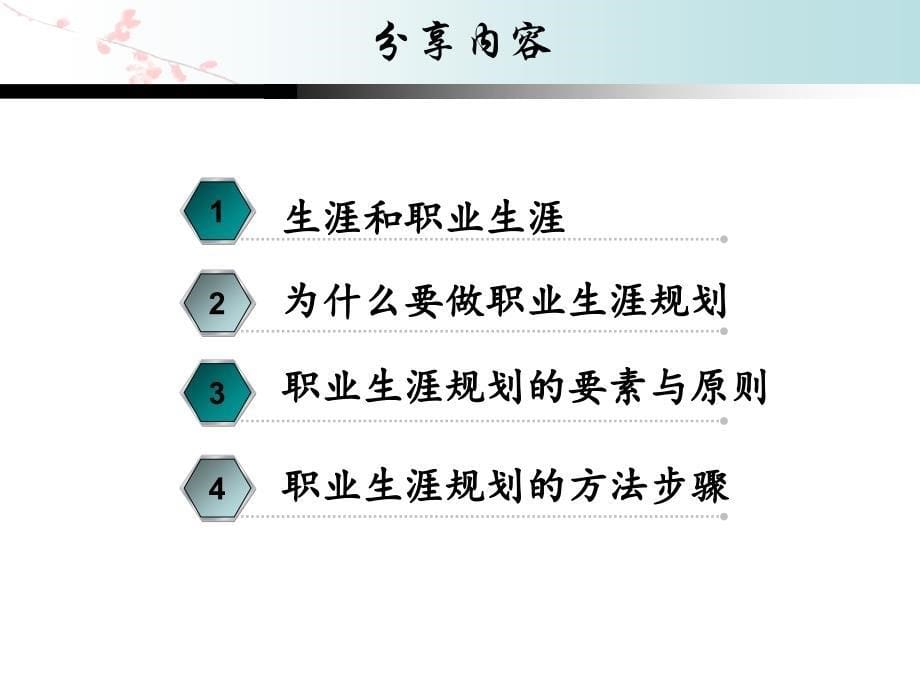 大学生职业生涯规划5_第5页