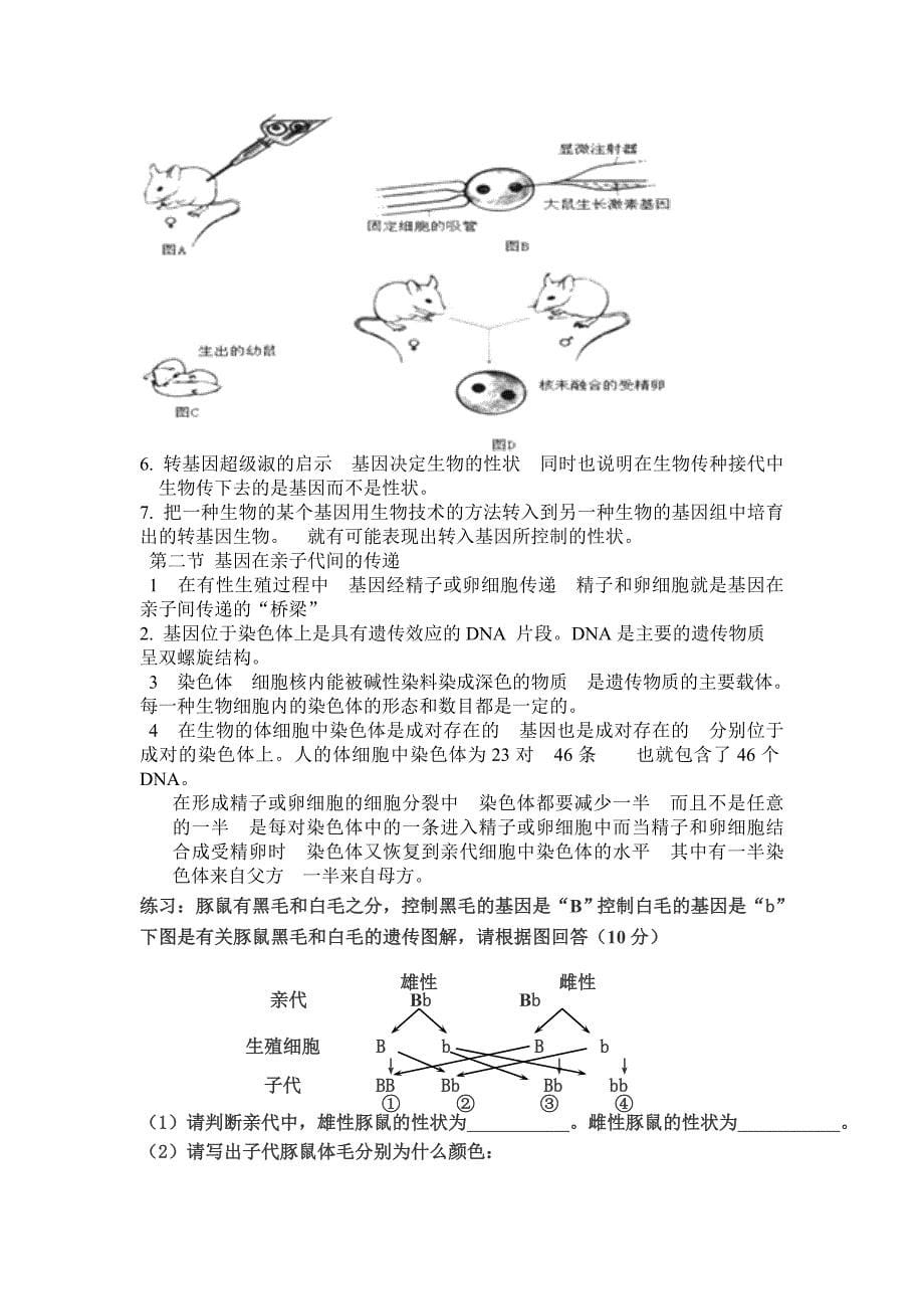 最新整理人教版八年级生物下册知识点总结_第5页