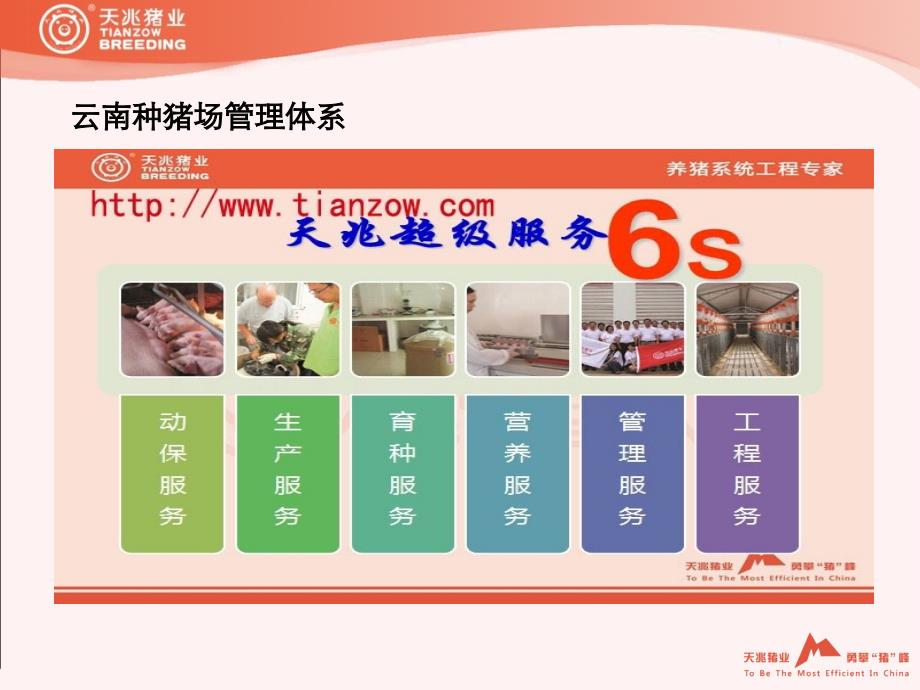 云南种猪场地址分布.ppt_第4页